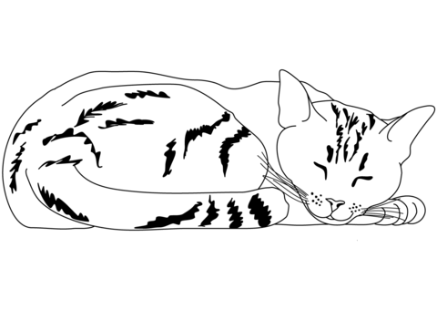 Sleeping Striped Cat Coloring Page